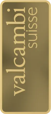 1 Kilo Gold Bar | Valcambi | Minted