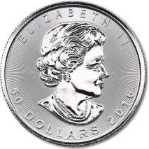 1 oz Maple Leaf Platinum | Mixed Years