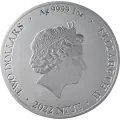 1 oz Silver Bitcoin