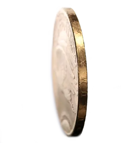 20 Dollar Double Eagle "Saint-Gaudens" | Gold | 1907-1933